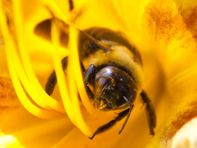 A moment later, it flew straight at me.