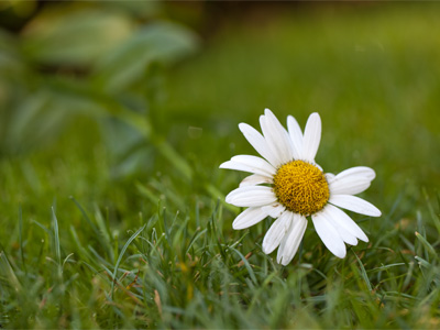 A little slow getting up on a Sunday morning.