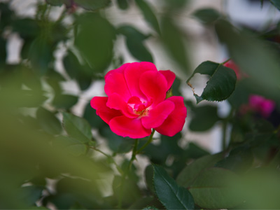 There were others, but I liked this one.