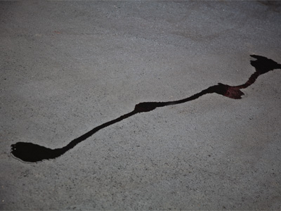 An incontinent automobile is so embarrassing.