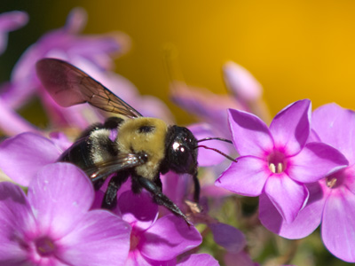 Today feels like spring.