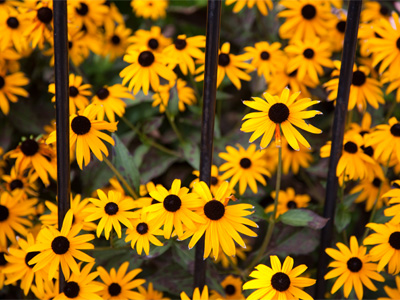 I had to rush this shot because some people were approaching.  Grrrr . . . PEOPLE!