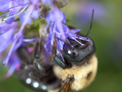 So, uh, you like that kind of flower then?