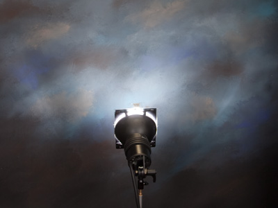 Okay, the studio light works.  Now I just need somebody to take a picture of.