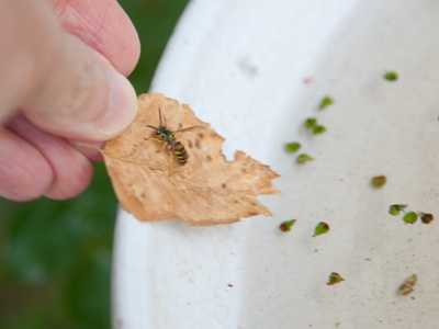 My good deed for the day.