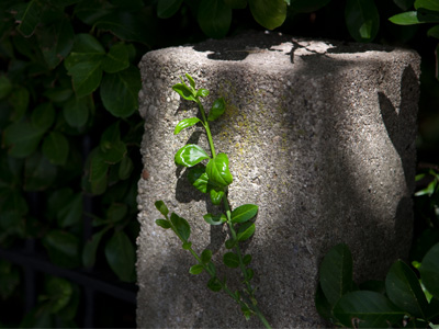 Everyone deserves a moment in the spotlight.