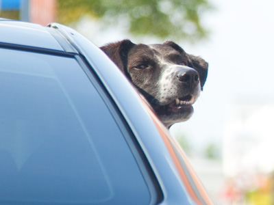 I wouldn`t recommend putting a parking ticket on this car.