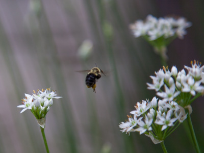 One down, millions  more to go.