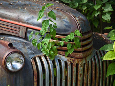 I finally found a Chevy older than mine.