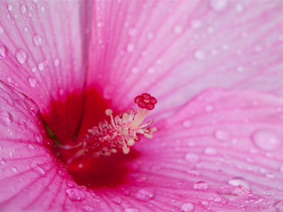 Water droplets? Yes, please!