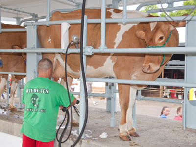 I had to stop and pick up some milk this morning.