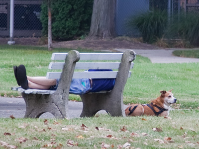 `{Sigh!}  He said we were going for a walk.`