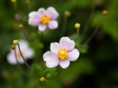 But darling, you are the only exception.