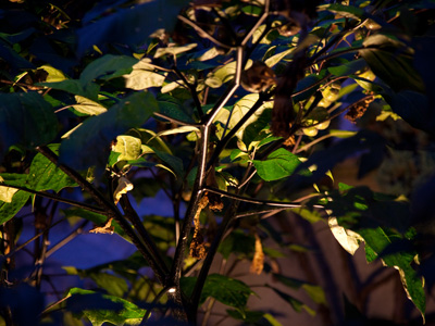 You are the only exception.