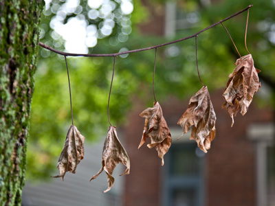 Photography is a great way for me to meet my neighbors.  A barking dog, a suspicious woman:  `Can I HELP you?`