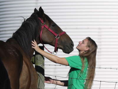 Make friends with another species.