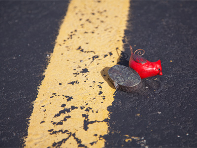 The state bird of Ohio, disgraced.