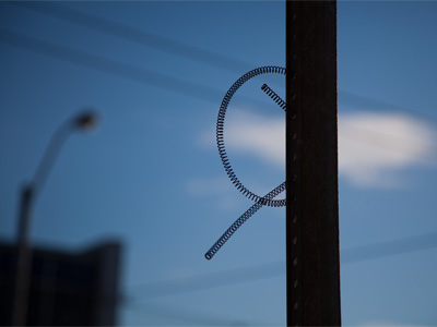 Spring is in the air.