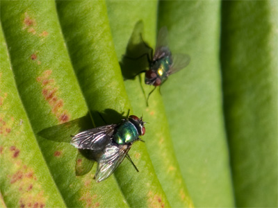 `I do not look creepy.  YOU look creepy!`