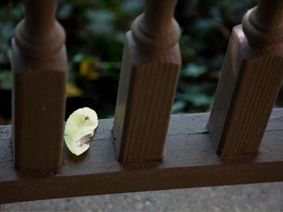 It`s almost that time of year.