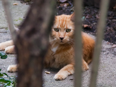 How does it feel to get stalked for a change?