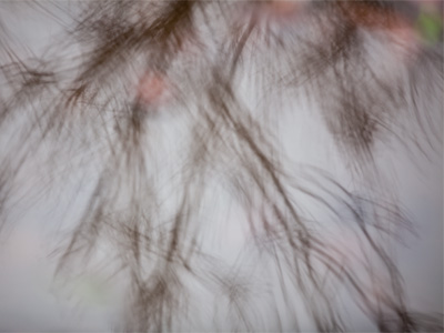 Was the camera pointing up or down?