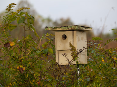 MOVE IN SPECIAL:  First month`s rent free!