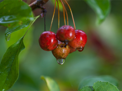 Despite the rain, I led a successful photo workshop today.