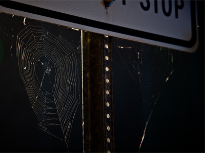 See, downtown Dayton IS a dangerous place after all.