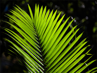 Thank you for staying green.