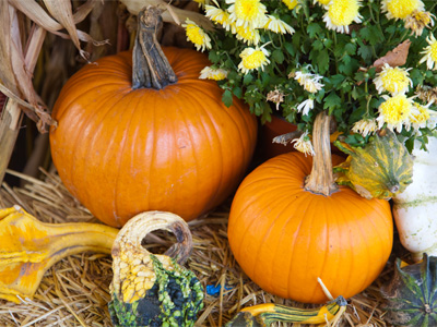 I could hear a cricket -- and some other kind of creature -- moving around in there.