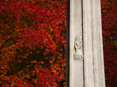 Upside:  I got to stay in bed an hour longer this morning.  Downside:  shadows were already low at 3:30.