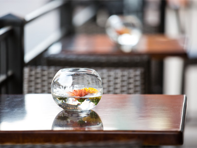 Someone else`s dinner table.