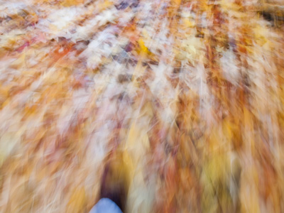 Walking to work -- looking down.