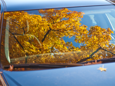 Reflections of autumn.