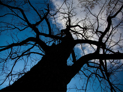 Can`t I just hibernate for the next three months?