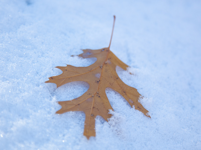 One season at a time, please!