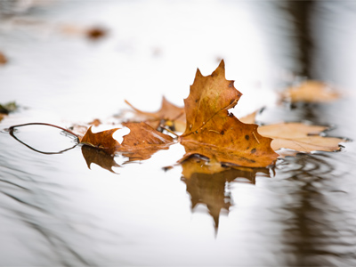 A placid morning turned into a stormy evening.