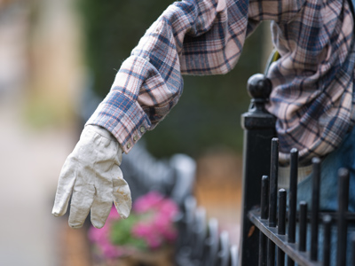 No green thumb.  No thumb at all.