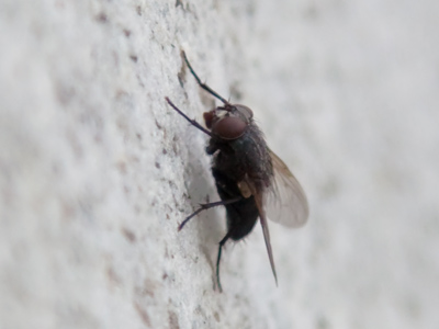 Upon visiting one of the largest landmarks of Dayton, I photographed this.