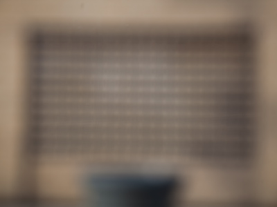 I wasn`t trying to be tricky;  the camera just wouldn`t focus.  This worries me.