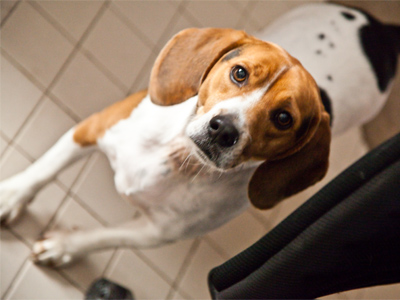 As we enjoy our Thanksgiving feast, let`s not forgot those who are less fortunate.