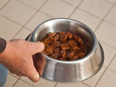 Someone`s tail is wagging.