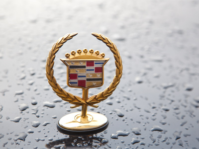 The family crest of Antoine Laumet de La Mothe de Cadillac, who founded the city of Detroit.  It has ducks on it.