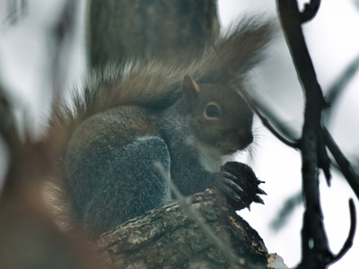 Both of us were shivering.