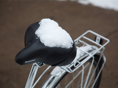 Picture of stuff with snow on it (3 of 5).