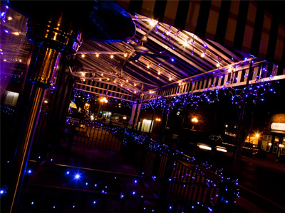 Starry, starry Salar.