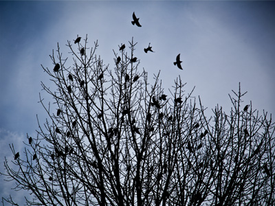 And you think you`re cold.