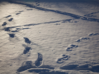 Way leads on to way.