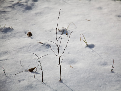 In the struggle for survival, today many will lose.